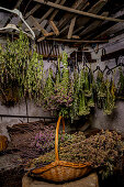 Herbs drying, homemade with herbs from your own garden