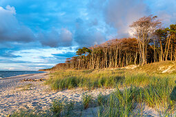 Nachmittagsstimmung am Weststrand vom Darß im Nationalpark vorpommersche Boddenlandschaft, Fischland-Darß-Zingst, Mecklenburg-Vorpommern, Deutschland, Europa