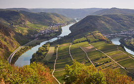 View from Calmont to the Moselle loop near Bremm, Calmont, Rhineland-Palatinate, Germany, Europe
