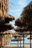 Palmen und Sonnenschirme vor strahlend blauem Himmel, Strand, Forte dei Marmi, Toskana, Italien