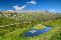 Mountain lake with small island, Eye of God, Venediger Group, Hohe Tauern, Hohe Tauern National Park, East Tyrol, Austria