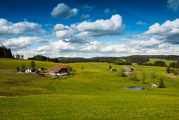 Farms and flower meadow, Jostal, near Breitnau, Upper Black Forest, Black Forest, Baden-Württemberg, Germany