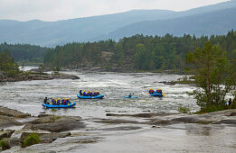 Wildwasserfahrer auf der Otra bei Syrtveit, Evje, Setesdalen, Aust-Agder, Norwegen, Europa