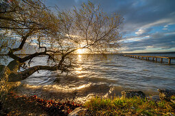 East bank of Lake Starnberg near Pischetsried in the evening light, Münsing, Bavaria, Deutchland