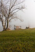 Bathing jetty with bench at Kochelsee, Bavaria, Germany.