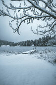 View over the frozen Geroldsee to snow-covered landscape, Krün, Bavaria, Germany.