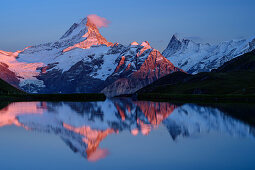 Schreckhorn und Finsteraarhorn bei Alpenglühen spiegeln sich in Bergsee, Bachalpsee, Grindelwald, Berner Oberland, UNESCO Weltnaturerbe Schweizer Alpen Jungfrau-Aletsch, Berner Alpen, Bern, Schweiz