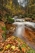 Stream with autumn leaves, Ilsetal, Brocken, Harz National Park, Harz, Saxony-Anhalt, Germany