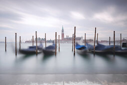 View of the Venetian gondolas on St. Mark's Square, in the background the island of San Giorgio, Venice, Veneto, Italy, Europe