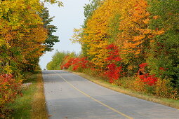 Country road in autumn, Quebec, Canada