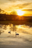 Sonnenuntergang am Schenkensee bei Dornheim, Iphofen, Kitzingen, Unterfranken, Franken, Bayern, Deutschland, Europa