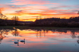 Abendglühen am Schenkensee bei Dornheim, Iphofen, Kitzingen, Unterfranken, Franken, Bayern, Deutschland, Europa