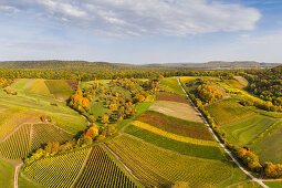 Vogelsang vineyards in the southern Steigerwald, Markt Einersheim, Iphofen, Kitzingen, Lower Franconia, Franconia, Bavaria, Germany, Europe