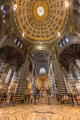 The dome in the Siena Cathedral, Siena, Province of Siena, Tuscany, Italy