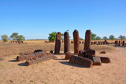 Gambia; Central River Region; Steinkreise bei Wassu; bestehend aus etwa 200 Megalithen
