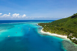 Aerial view of sailboats moored in Opunohu Bay and people on the beach, Moorea, Windward Islands, French Polynesia, South Pacific