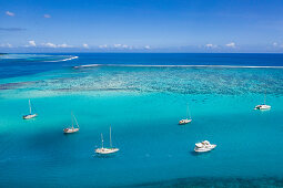 Aerial view of sailboats at anchor in Opunohu Bay, Moorea, Windward Islands, French Polynesia, South Pacific