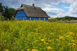 Reetgedecktes Fachwerkhaus, Warthe, Lieper Winkel, Usedom, Ostsee, Mecklenburg-Vorpommern, Deutschland