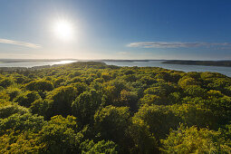 View over the Kleiner Jasmunder Bodden, treetop path in the Rügen Natural Heritage Center, Ruegen, Baltic Sea, Mecklenburg-Western Pomerania, Germany