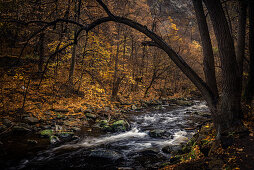 Fluss Bode, Bodetal, Thale, Harz, Sachsen-Anhalt, Deutschland, Europa