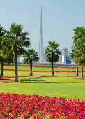 Palm trees and flowers, Dubai, United Arab Emirates