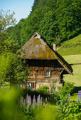 Thatched mill with cottage garden, Oberprechtal near Elzach, Black Forest, Baden-Württemberg, Germany