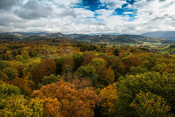 Blick vom Eichbergturm auf herbstlichen Mischwald, bei Emmendingen, Schwarzwald, Baden-Württemberg, Deutschland