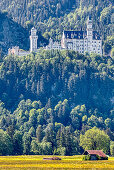 Schloss Neuschwanstein im Morgenlicht von Alterschrofen, bayrisches Allgäu, Bayern, Deutschland