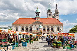 Market in front of the town hall of Magdeburg, Saxony-Anhalt, Germany