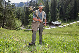 Enzianstechen at the Priesberghütte, Berchtesgadener Land, Upper Bavaria, Bavaria, Germany