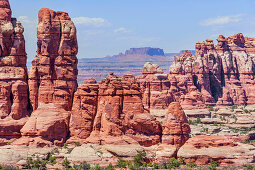 Sandstone pinnacles, Chesler Park, The Needles district, Canyonlands National Park, Utah, USA