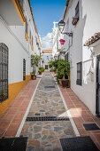 Weiße Häuser in der Altstadt von Marbella, Spanien