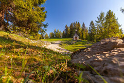 Herbstlicher Wanderweg auf der Hemmersuppenalm, Chiemgau, Bayern, Deutschland