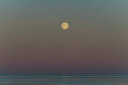 Full moon over the sea at dawn, Grimsholmen, Hallandslan, Sweden