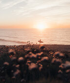 Surferin geht zum Sonnenaufgang zum Meer, Portugal