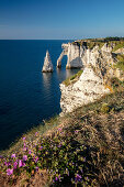 Porte d'Aval rock arch and the Aiuille rock needle on the Alabaster Coast near Étretat, Normandy, France.