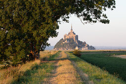 View over the salt marshes to the rocky island of Mont Saint Michel with the monastery of the same name, Normandy, France.