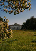 The park and the back of Villa Manin, a Venetian villa from the 1600s, with its 1600 trees, a green oasis in the Po valley in the province of Udine, Friuli Venezia Giulia.