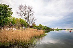 Evening mood thatched roof houses in Sieseby, Schlei, Schwansen, Thumby, Schleswig-Holstein, Germany