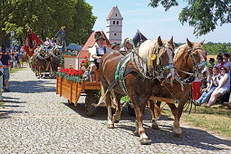 More than 300 horses take part in the Willibaldsritt in Jesenwang. The ride through the church is unique in Europe, Jesenwang, Upper Bavaria, Bavaria, Germany