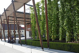 German Hop Museum, Wolnzach, Upper Bavaria, Bavaria, Germany