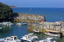 Hafenbecken des Ortes Mundaka, Urdaibai Biosphere Reserve, Baskenland, Spanien