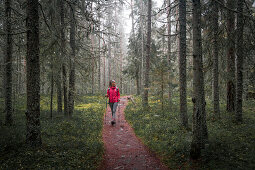 Woman hiking through forest in Skuleskogen National Park in eastern Sweden