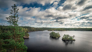 Kleine Inseln im See Stensjön im Tyresta Nationalpark in Schweden, von oben\n