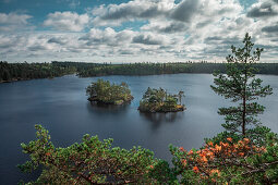 Kleine Inseln im See Stensjön im Tyresta Nationalpark in Schweden, von oben\n