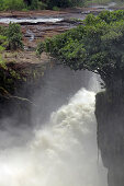 Uganda; Northern Region on the border with the Western Region; Murchison Falls National Park; on the Victoria Nile; The spray and thundering whirlpools of the Murchison waterfall