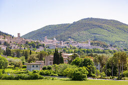 Assisi; Basilica di Santa Chiara, Duomo San Rufino; Stadtansicht, Umbrien, Italien