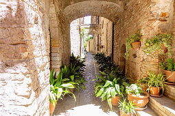 Spello; Via Cavour; Altstadtgasse, Umbrien, Italien