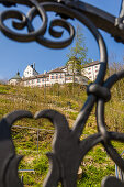 Schloss Hohenauschau, von unten, Vordergrund unscharf, Chiemgau, Oberbayern, Bayern, Deutschland