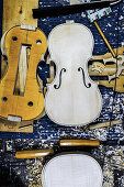 Lutist Philippe Devanneaux at work in his shop, Cremona, Italy